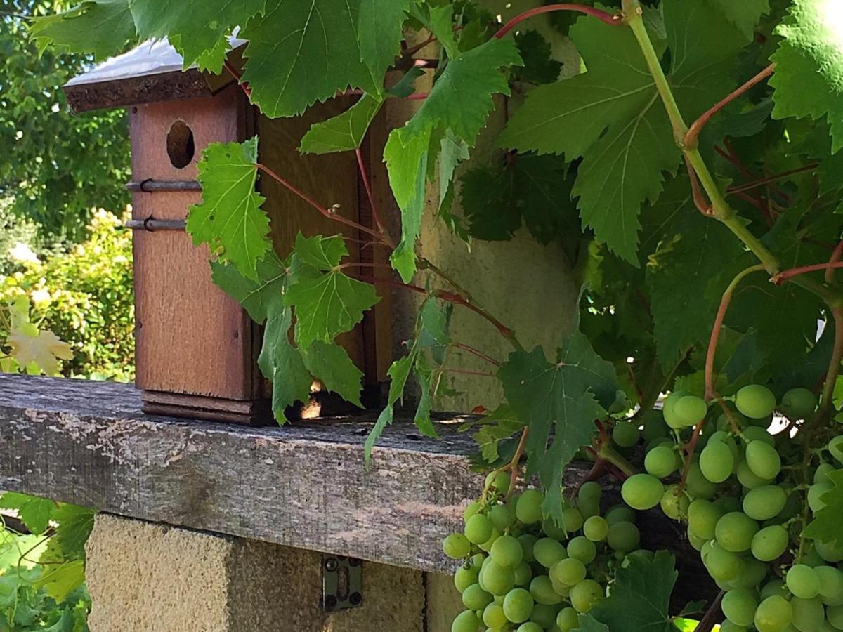 5 Lasserre Moulon-sur-Dordogne Luaran gambar