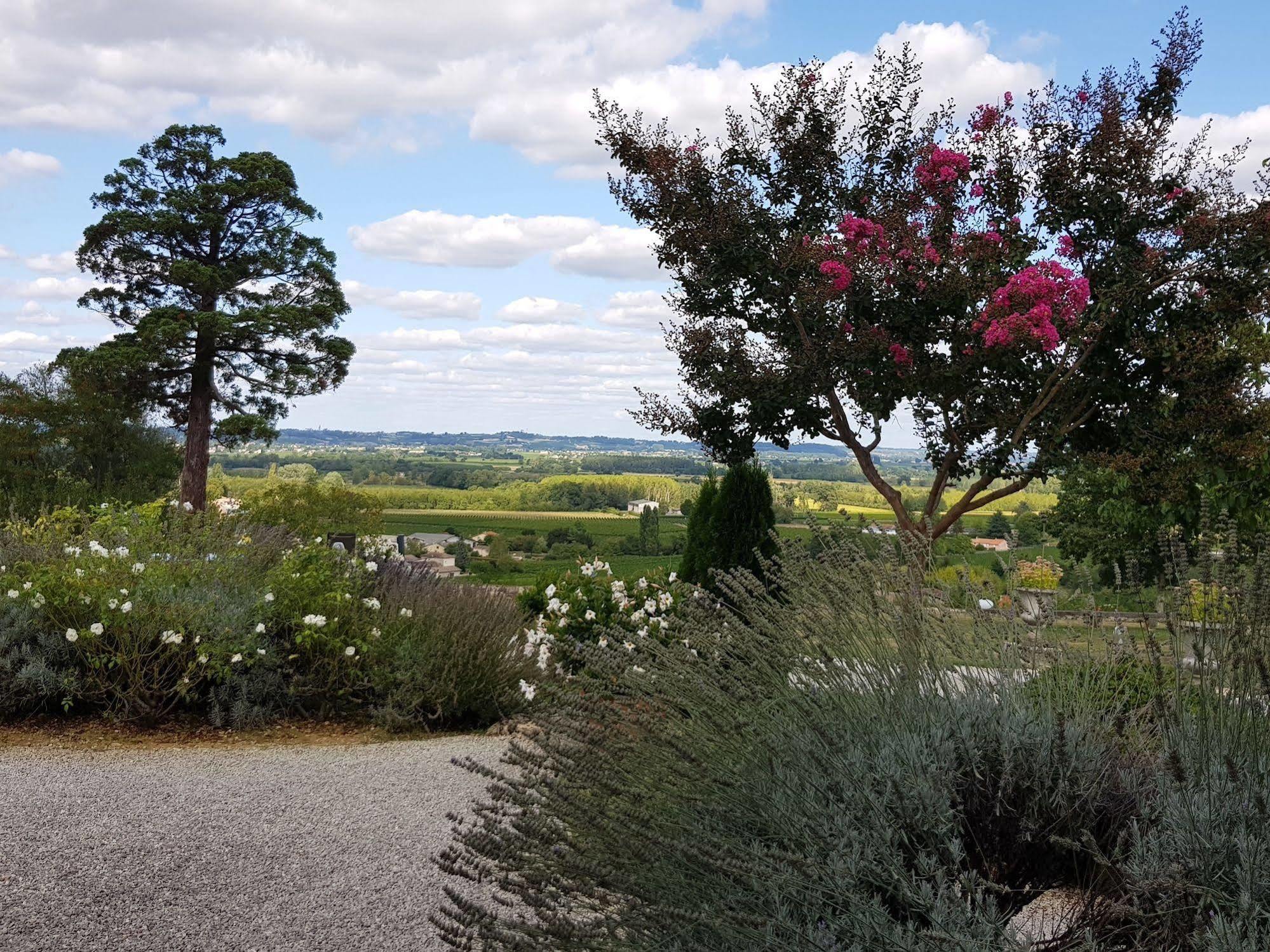 5 Lasserre Moulon-sur-Dordogne Luaran gambar